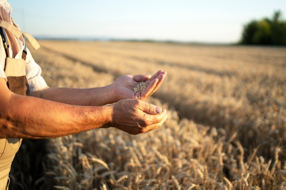 Impacto de crises globais no agronegócio brasileiro