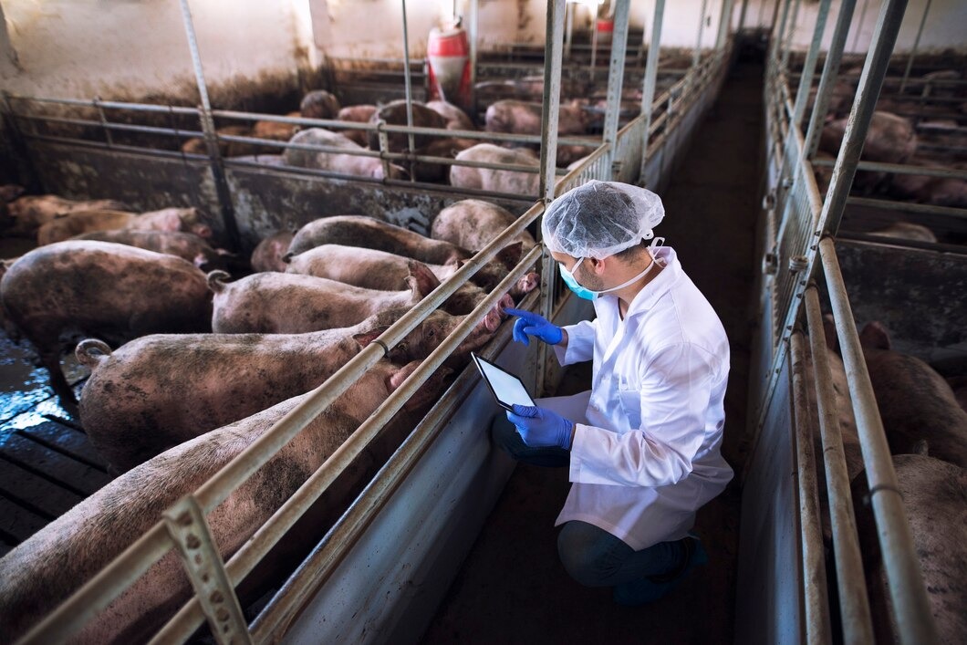 Piauí se destaca na produção de soja e pecuária de corte