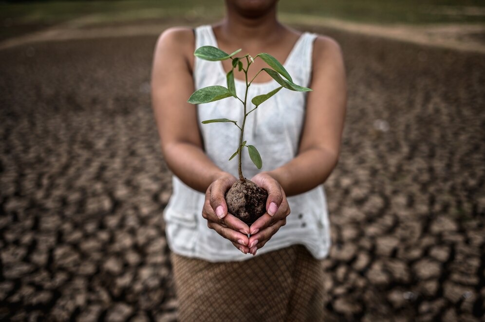 Agro e meio ambiente: o desafio do equilíbrio sustentável