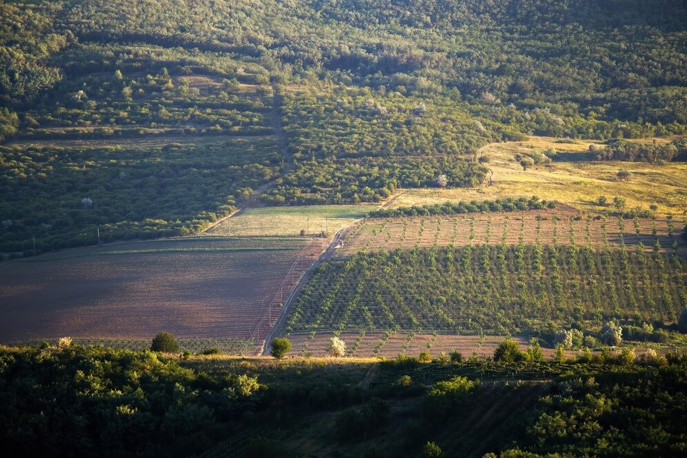 Mato Grosso: da fronteira agrícola à potência global do agronegócio