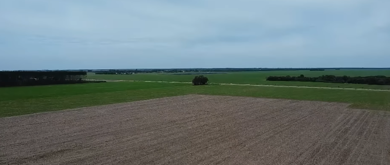 Reprodução Canal Rural