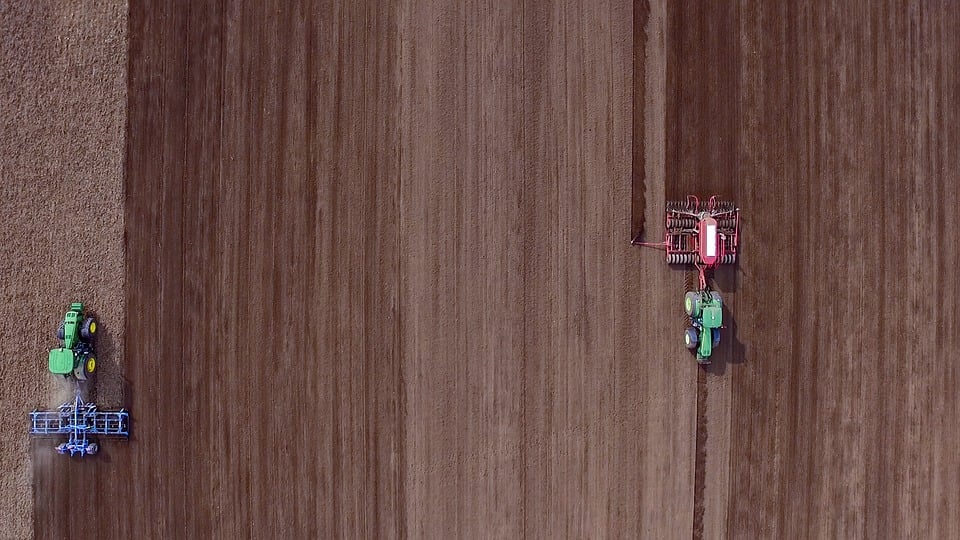 Soja: plantio no Brasil atinge 58,4% da área prevista, aponta Conab