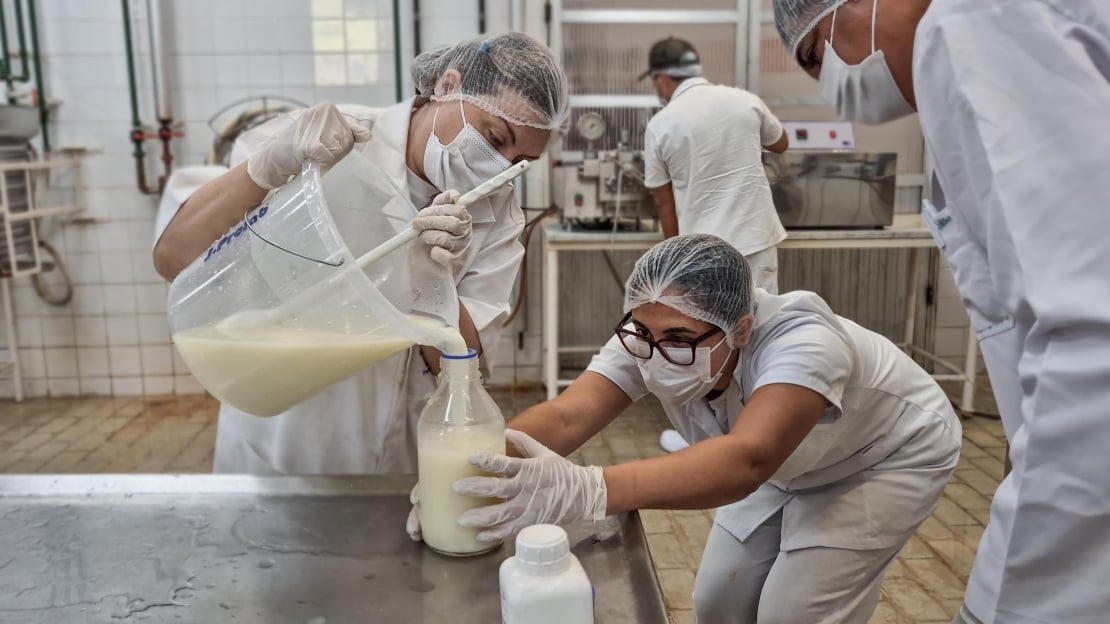 pesquisa leite epamig