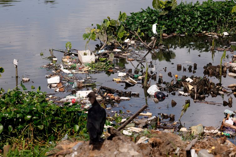 Belém (PA), 21/11/2025 - Esgoto a céu aberto na cidade de Belém. Foto: Tânia Rêgo/Agência Brasil