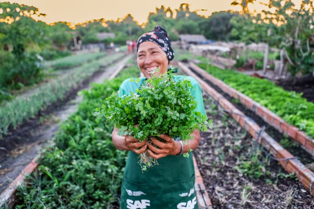 Piauí alcança uso de 50% de alimentos da agricultura familiar na merenda escolar