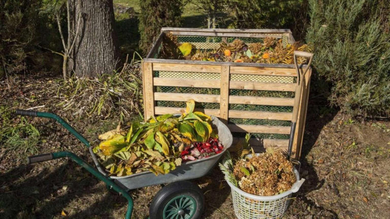 Compostagem em casa: passo a passo para transformar resíduos em adubo natural