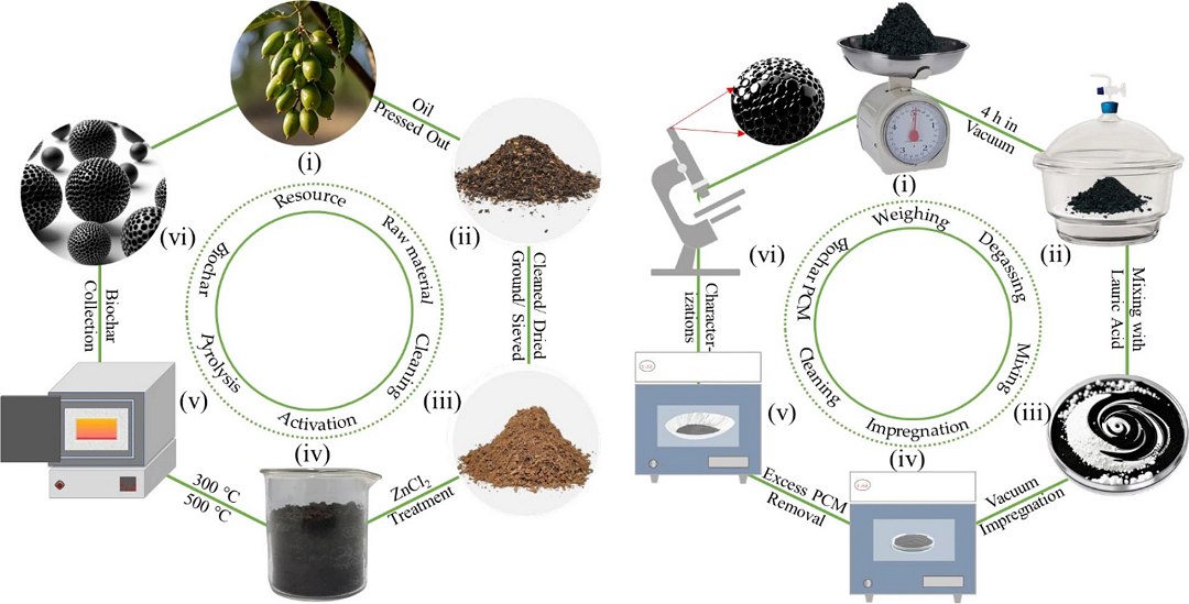 As sementes de neem são resíduos agrícolas amplamente disponíveis, frequentemente descartadas após a extração de óleo. A conversão dessas sementes em biochar agrega valor à biomassa residual e sequestra carbono que, de outra forma, retornaria à atmosfera. [Imagem: Soumen Mandal et al. - 10.1007/s42773-025-00510-x]