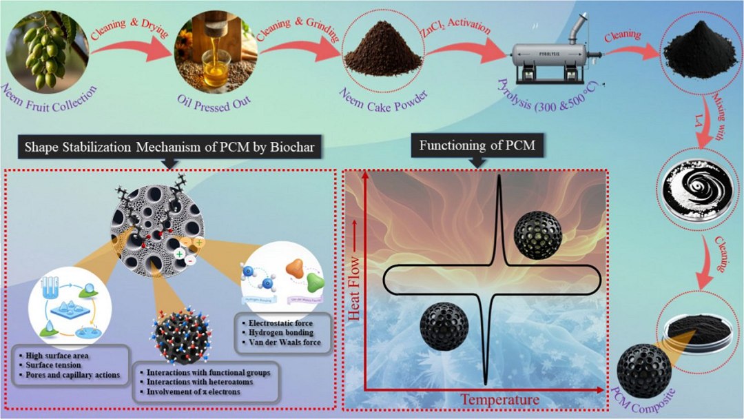 Biocarvão de sementes de nim moduladas por temperatura para aplicações de armazenamento sustentável de energia térmica. [Imagem: Soumen Mandal et al. - 10.1007/s42773-025-00510-x]