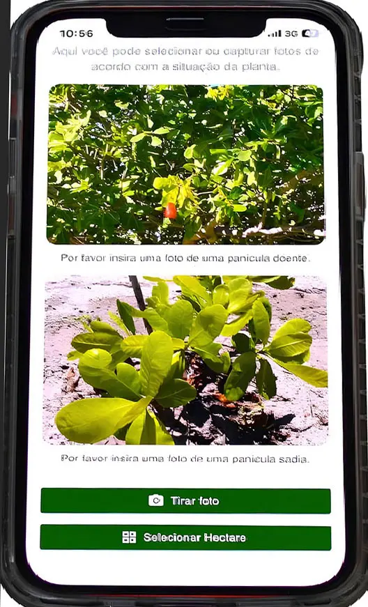 Foto: comprerural.com / Gerada por IA