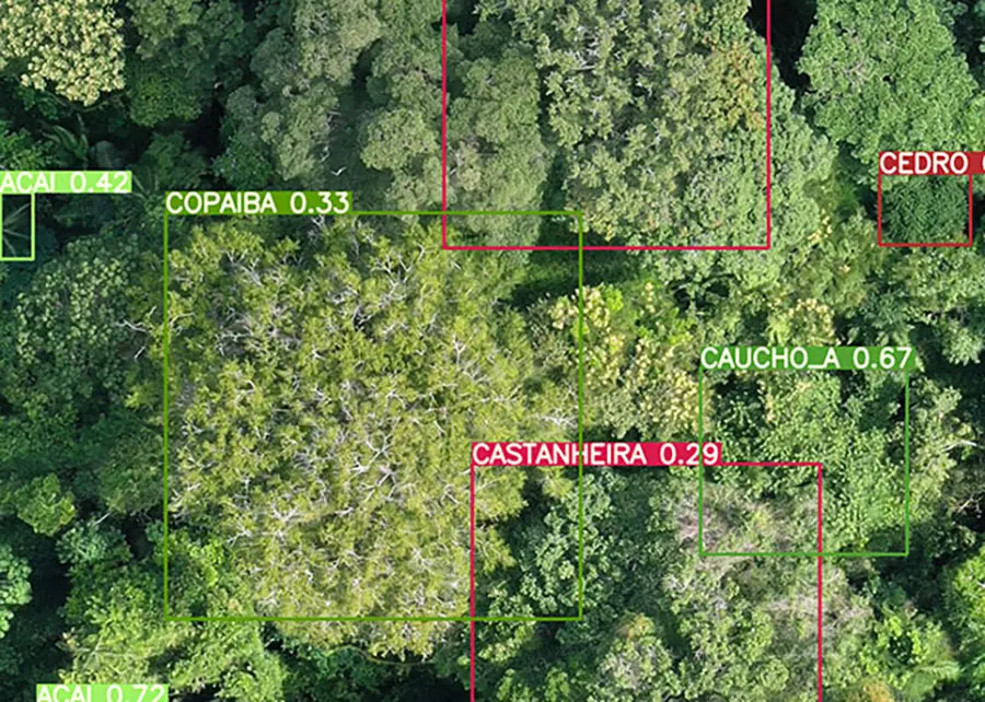 Imagem : Embrapa Acre