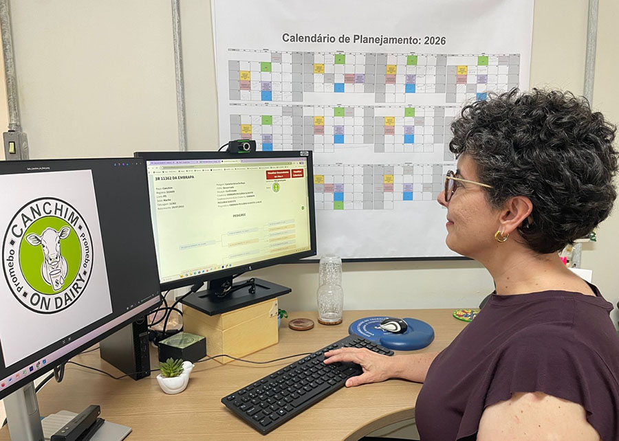 Foto: embrapa.br / Gerada por IA