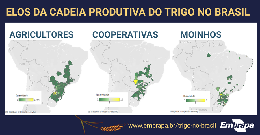 Foto: embrapa.br / Gerada por IA