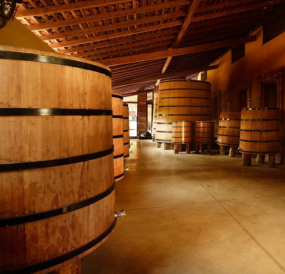 Foto: pi.gov.br / Gerada por IA