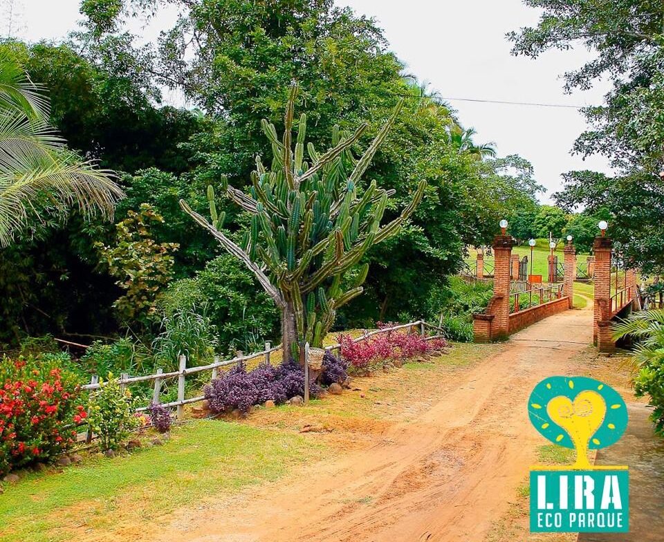 Foto: Divulgação Grupo Lira.