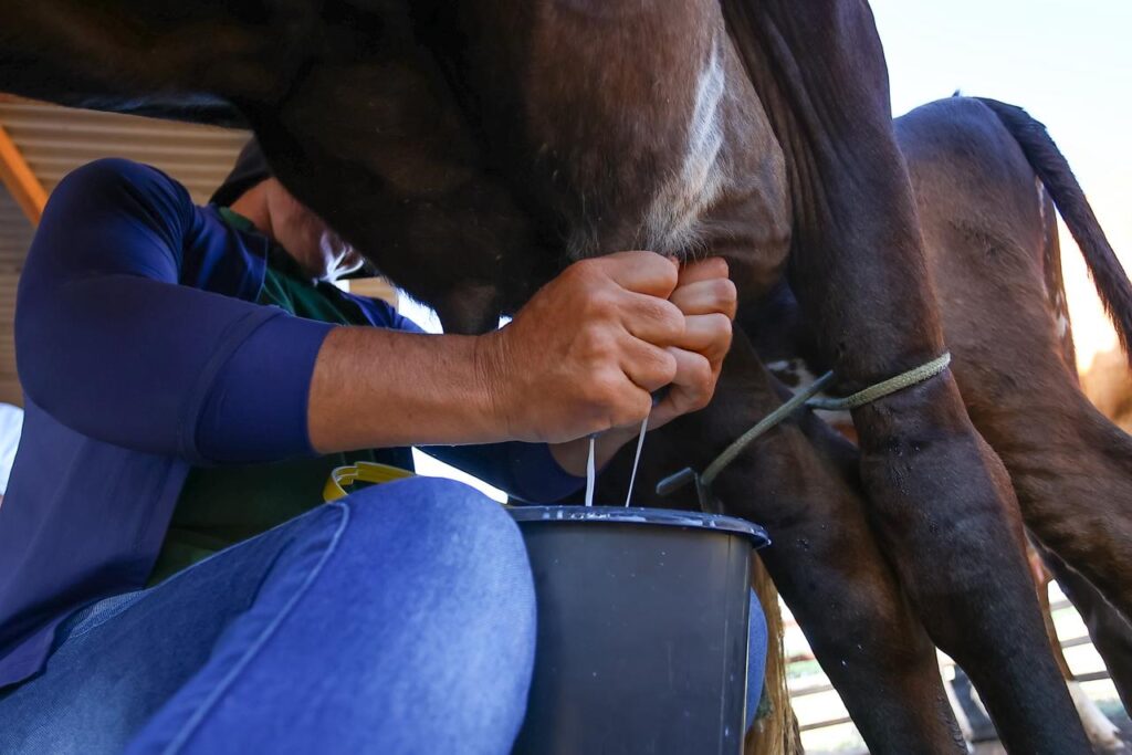 (Foto: Geirlys Silva / SAF)