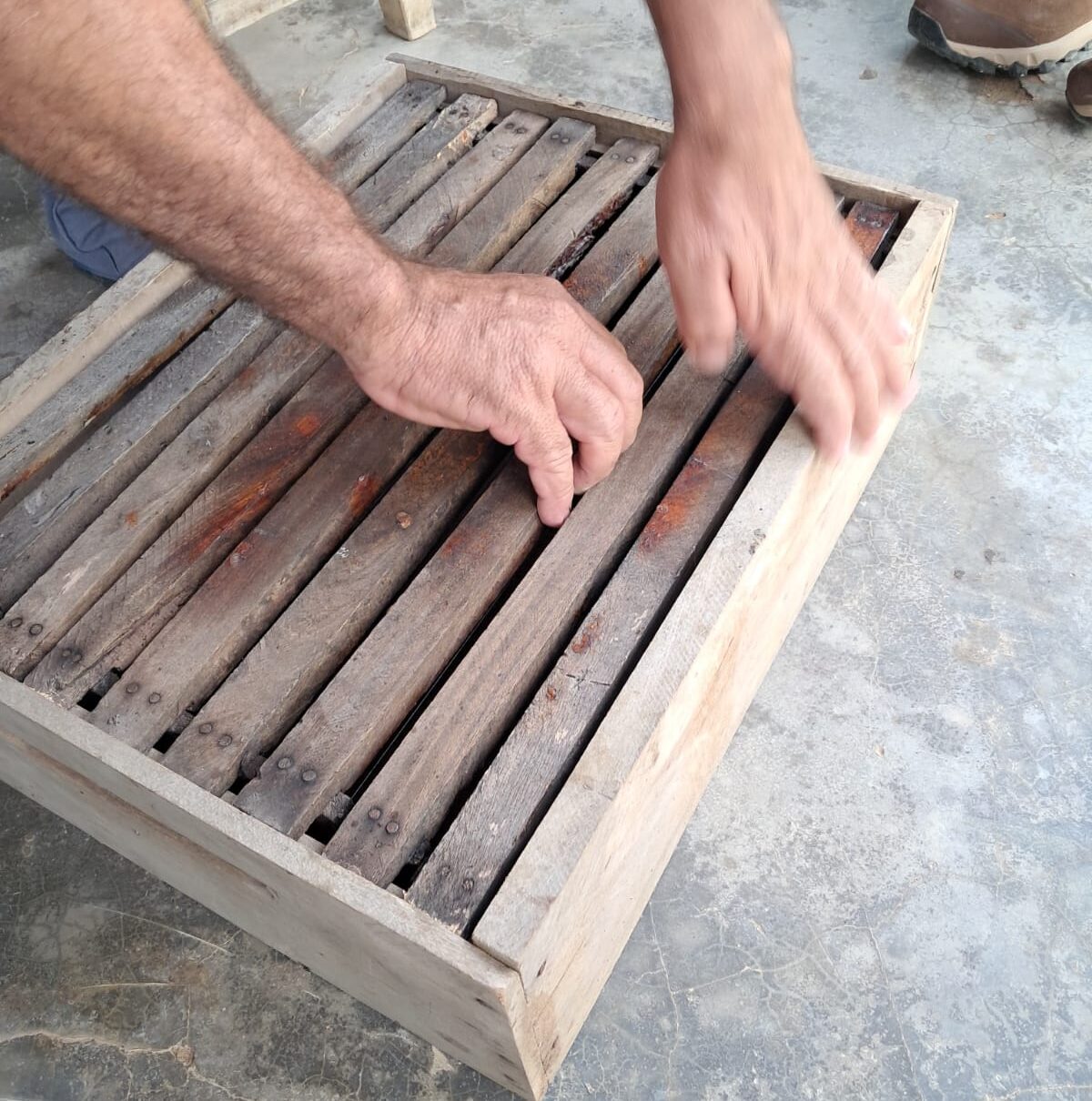 Foto: pi.gov.br / Gerada por IA