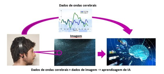 Foto: embrapa.br / Gerada por IA