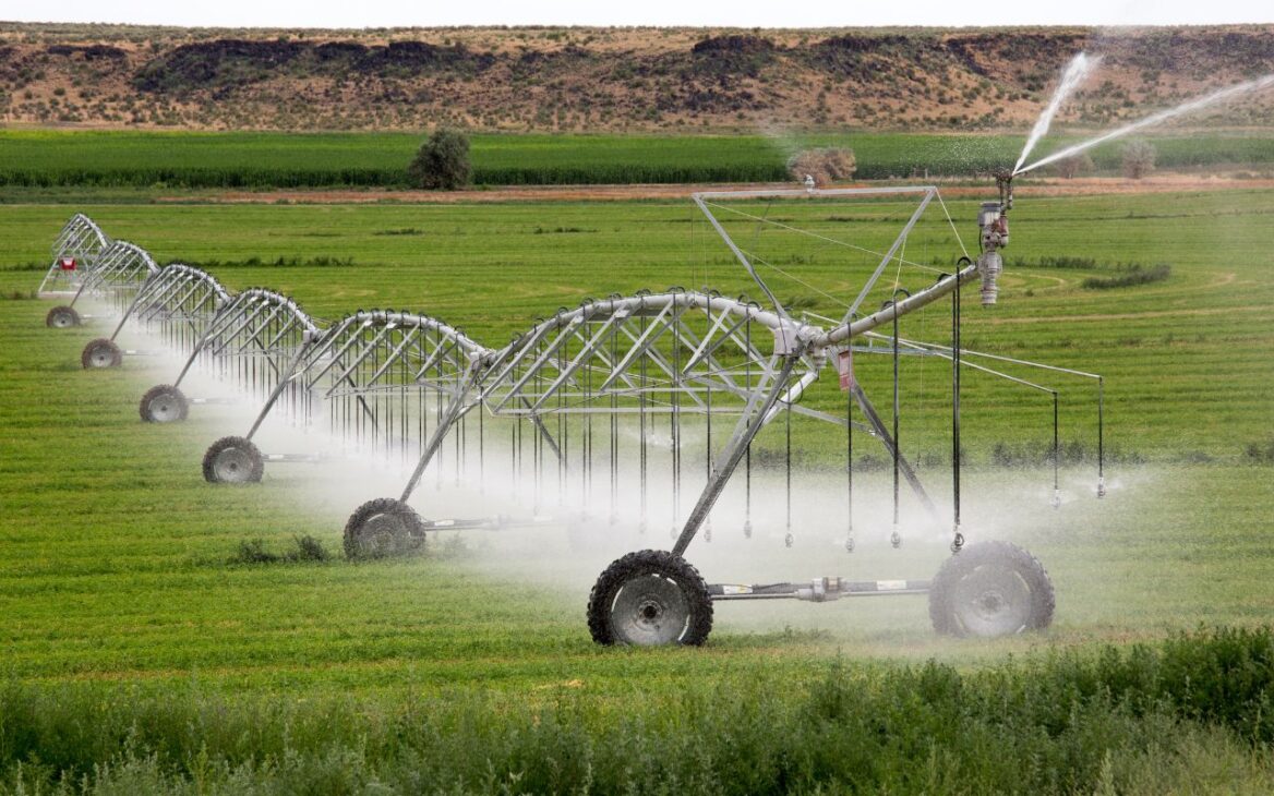 Com lançamento previsto para 2027, a nova tecnologia de irrigação agrícola desenvolvida no Brasil une IA e IoT para otimizar custos e preservar recursos hídricos. Foto: CANVA