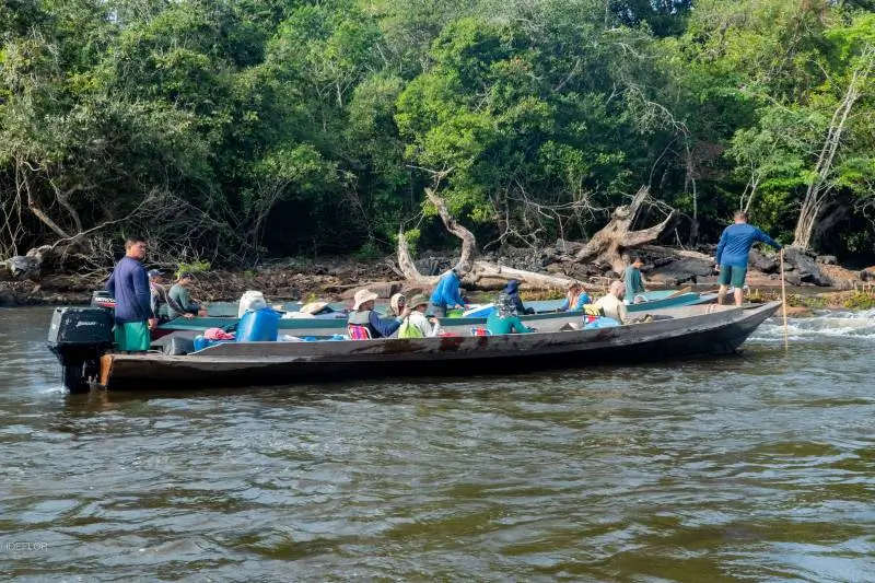Expedição para encontrar o Angelim-vermelho, a maior árvore já descoberta no Brasil. Foto: Havita Rigamonte Divulgação