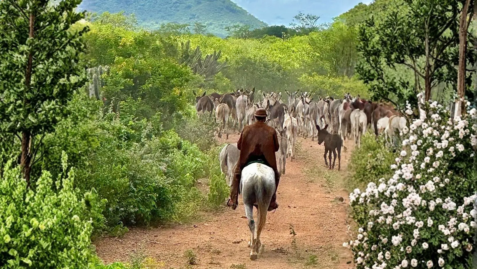 Foto: comprerural.com / Gerada por IA