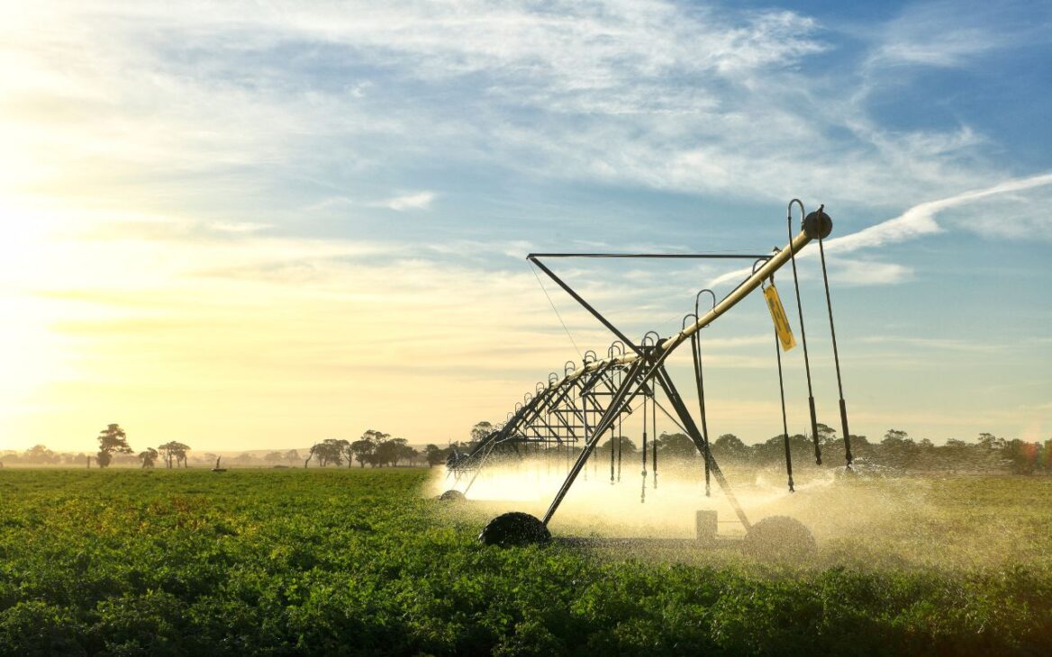 Com lançamento previsto para 2027, a nova tecnologia de irrigação agrícola desenvolvida no Brasil une IA e IoT para otimizar custos e preservar recursos hídricos. Foto: CANVA