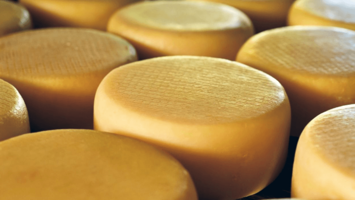 Foto: band.com.br / Gerada por IA