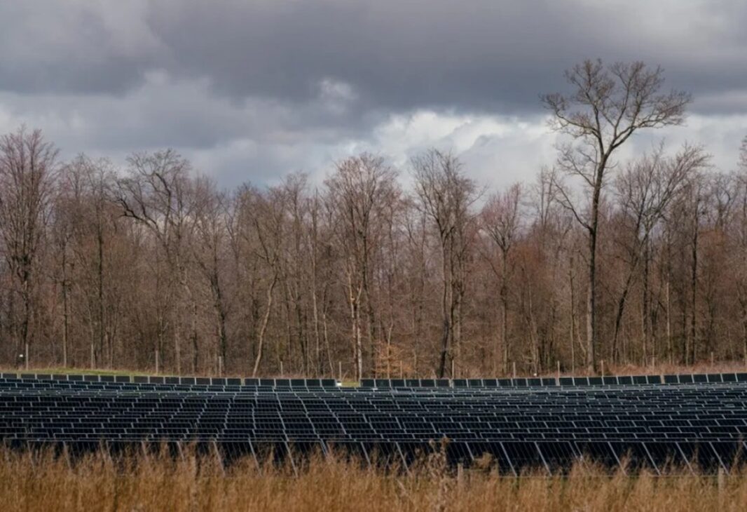 A maior parte da nova capacidade instalada de usinas solares que adicionam eletricidade diretamente à rede elétrica nos Estados Unidos está planejada para este ano em quatro estados. Foto de Nick Hagen para a ProPublica.