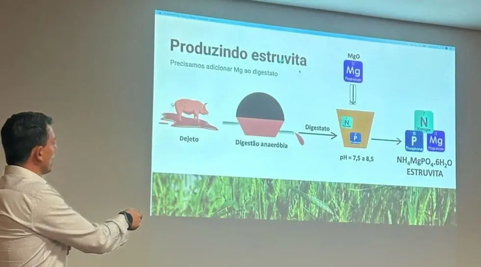 Foto: comprerural.com / Gerada por IA