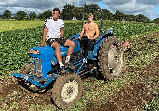 Erling Haaland em 2021 trabalhando em uma fazenda de batatas na Noruega depois de voltar para casa para as férias de verão. Foto: Twitter/ErlingHaaland