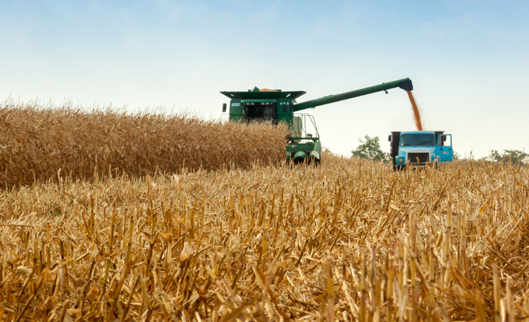 Crédito rural atinge R$ 433 bilhões e impulsiona crescimento na agricultura empresarial