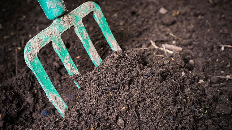 O adubo orgânico é amplamente utilizado em hortas e jardins, com destaque para esterco, compostagem e húmus de minhoca, promovendo fertilidade do solo e agricultura sustentável - Foto: Reprodução.