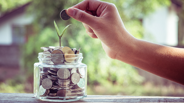 Dicas para otimizar o controle financeiro de lojas agropecuárias