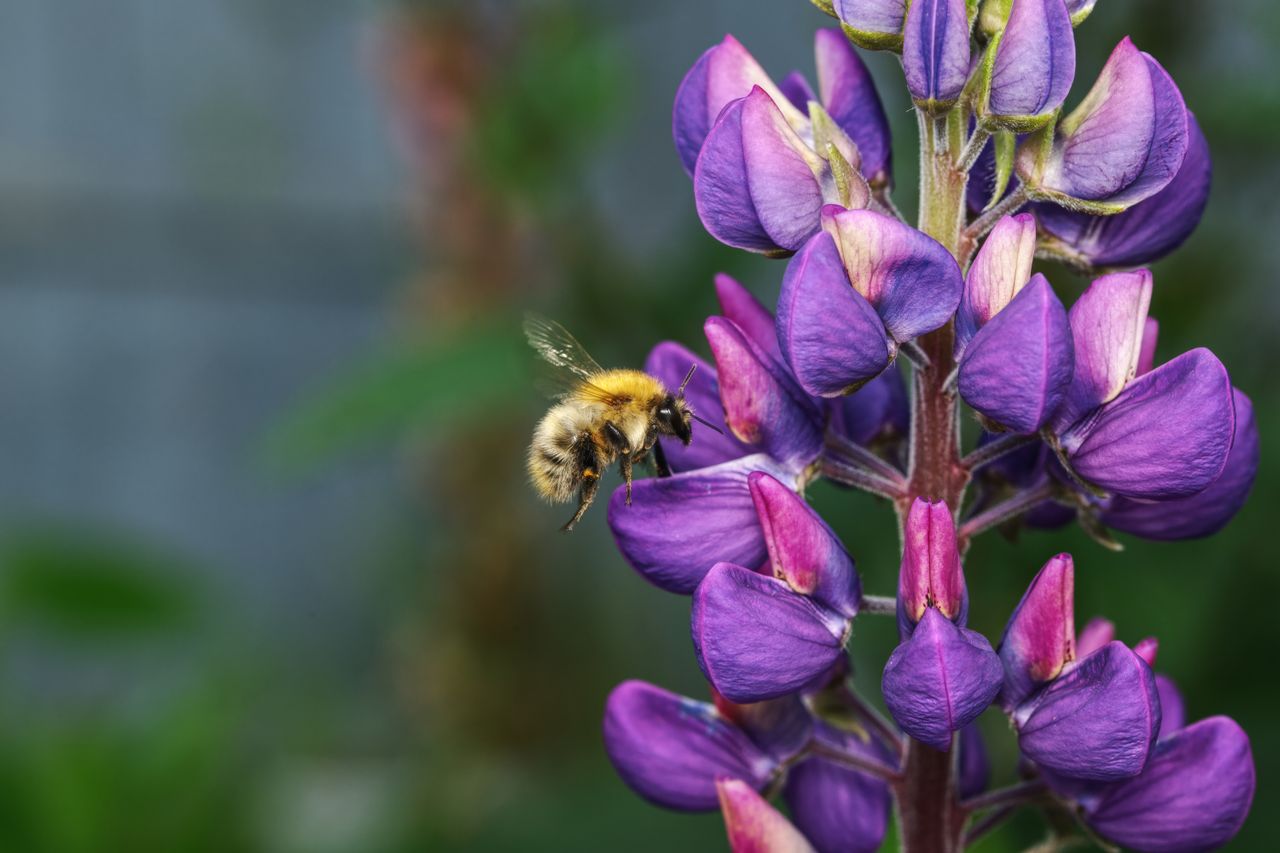 Foto: Jason Reid / Pexels.