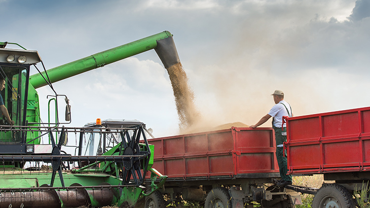 Cenário do agronegócio no Brasil para aumentar produção e qualidade