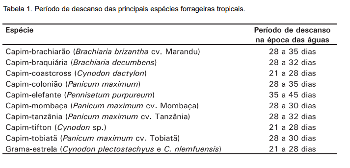 Veja agora como fazer o pastejo rotacionado para ter mais produtividade, controle e qualidade do seu pastejo.