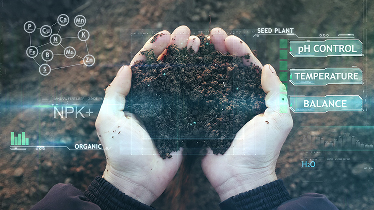Tecnologias em fertilizantes fortalecem a produtividade da lavoura