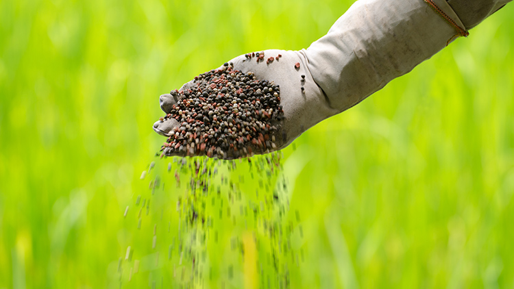 Existem diversas estratégias de aplicação de fertilizantes, como fertirrigação e aplicação pneumática, que aumentam a eficiência na nutrição de culturas e reduzem desperdícios - Foto: Reprodução.