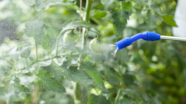 A escolha adequada dos bicos de pulverização, considerando modelo, material e critérios de uso, é essencial para garantir eficiência na aplicação de defensivos e fertilizantes agrícolas - Foto: Reprodução.
