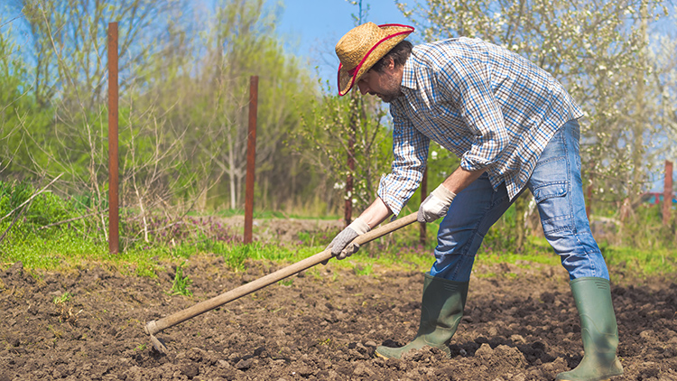 Ergonomia na agricultura reforça a importância do cuidado com a saúde do trabalhador