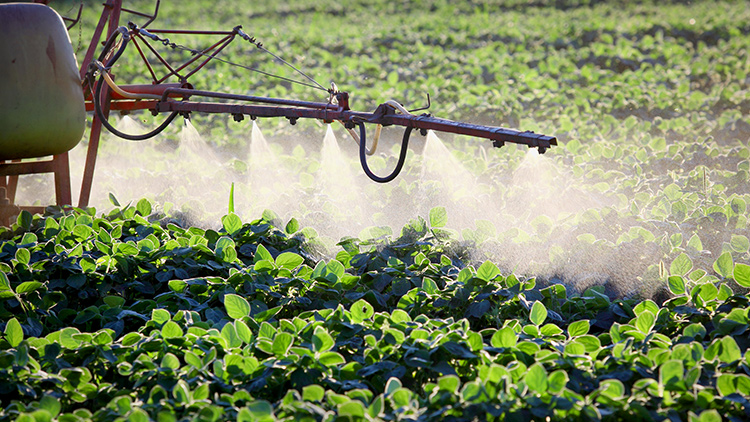 Espalhante adesivo: uso e importância no agronegócio