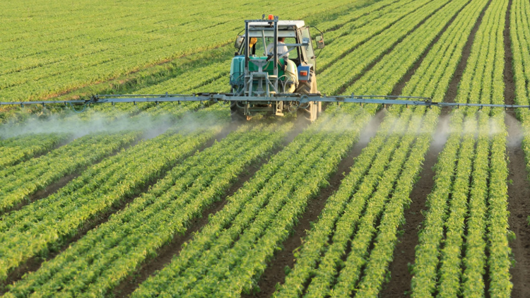 A fertilização foliar requer cuidados técnicos para otimizar a absorção de nutrientes e evitar perdas na lavoura - Foto: Reprodução.