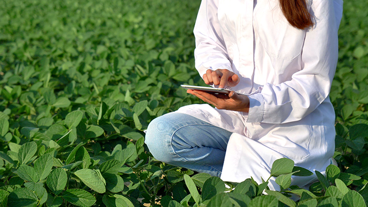 Receituário agronômico: o que é e a importância para o produtor