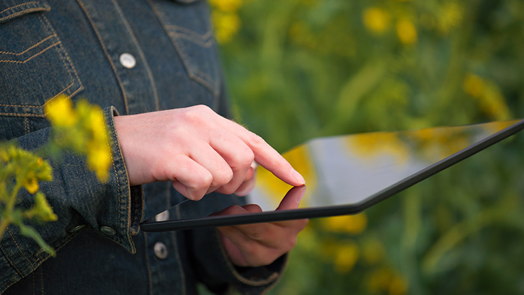Inovação tecnológica transforma o setor agrícola
